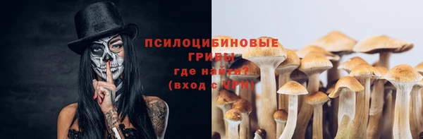 не бодяженный Беломорск