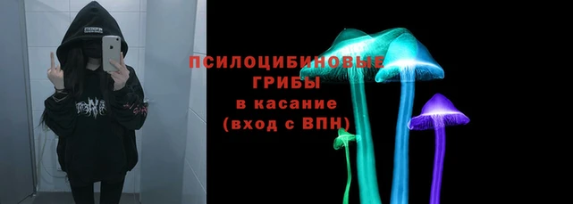 не бодяженный Беломорск