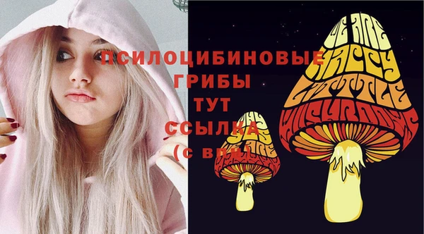 не бодяженный Беломорск