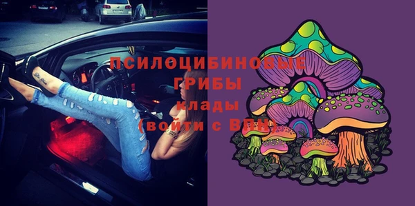 каннабис Белокуриха