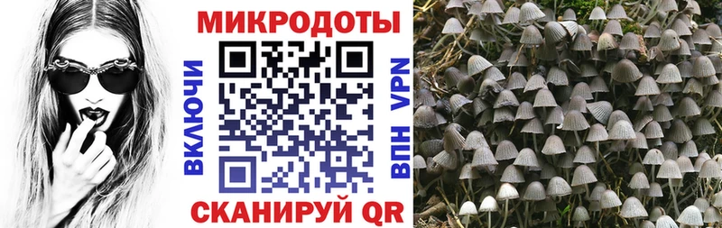 Галлюциногенные грибы GOLDEN TEACHER  Новочеркасск 